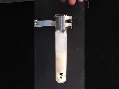 Enzyme Activity Lab: Catalase and Hydrogen Peroxide Reaction