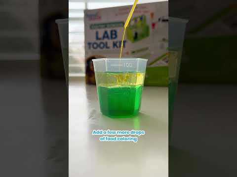 Weather Fronts: Air Mass Interaction and Storm Formation