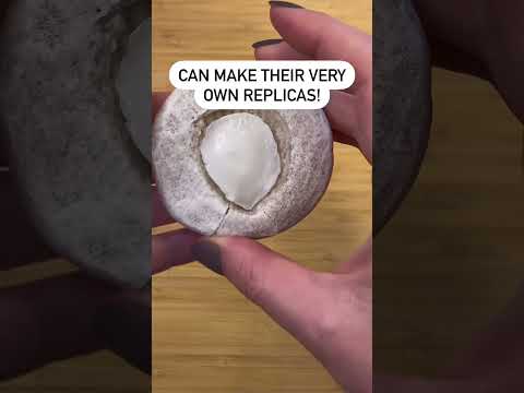 Fossil Making: Paleontology and Fossilization Process for Kids