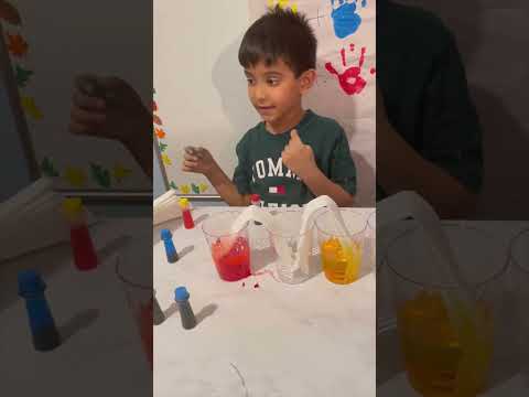 Walking Water Experiment: Amazing Capillary Action for Kids