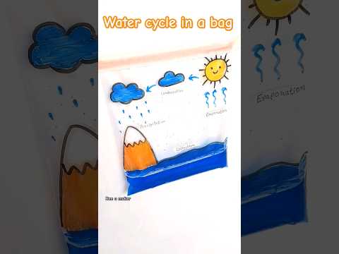 Water Cycle in a Bag: Evaporation and Precipitation Science