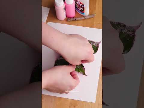 Ant Farm Observation: Insect Social Behavior Science for Young Kids