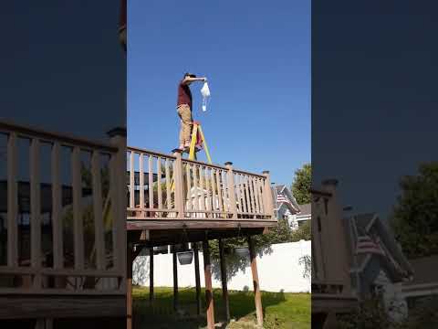 Egg Drop Challenge: Physics Engineering Design Project for Kids