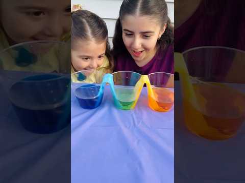 Color Changing Flowers: Capillary Action and Plant Science for Kids