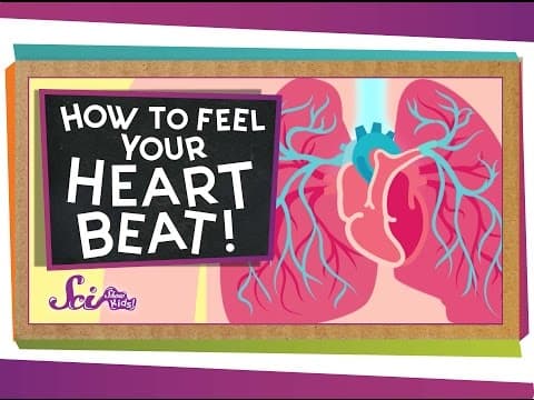 Heart Rate Exercise Lab: Cardiovascular System Science for Kids