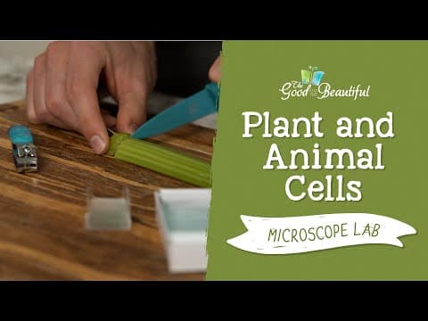 Plant vs Animal Cell Study: Microscope Biology Lab for Middle School